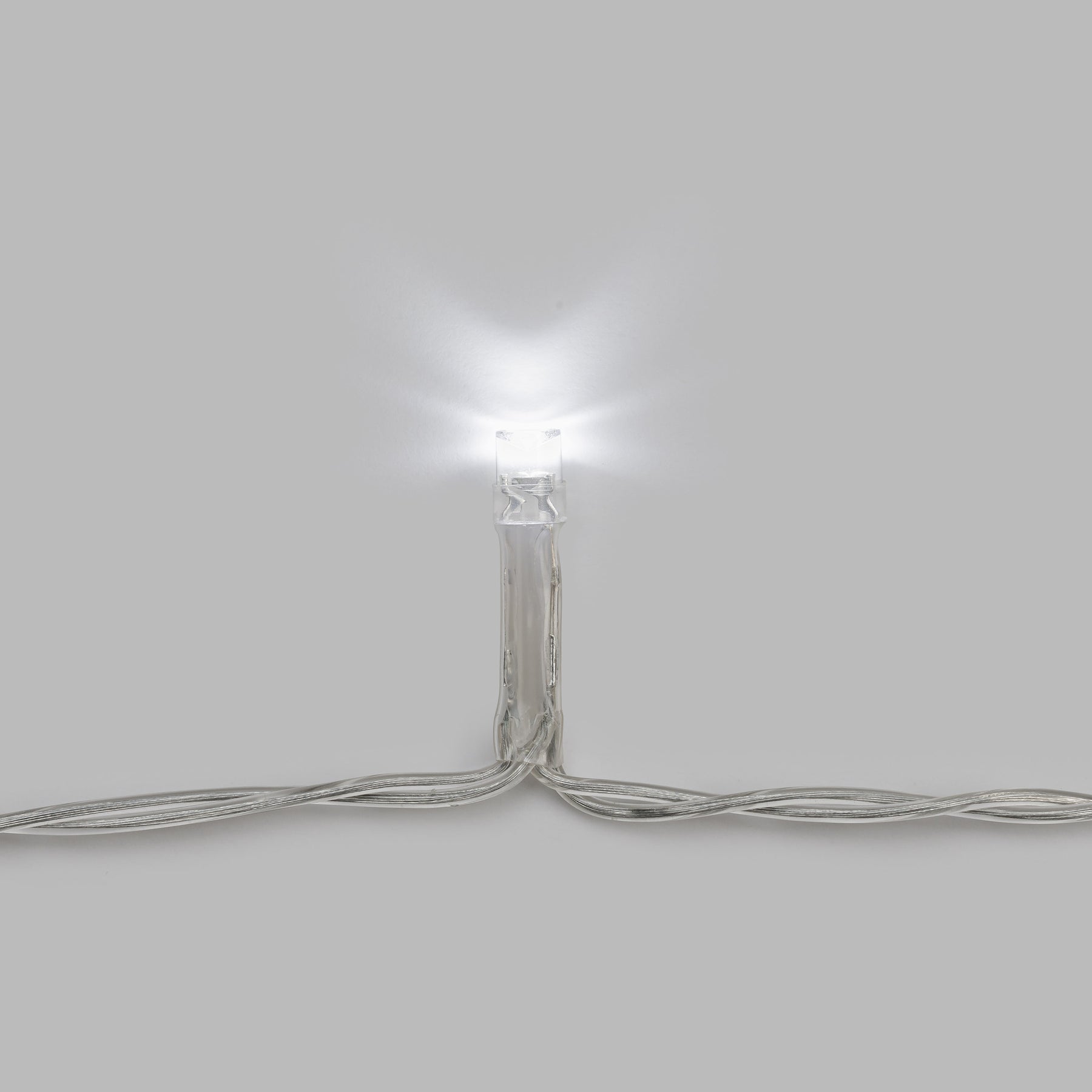 Youth String Lights